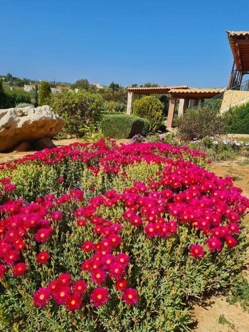 Guesthouse Petrothalassa Πόρτο Χέλι Εξωτερικό φωτογραφία